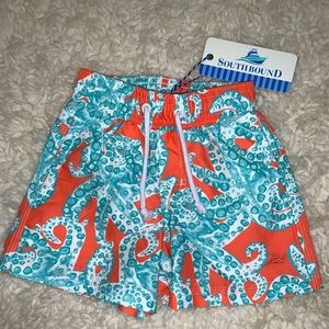 Southbound Swim Trunks